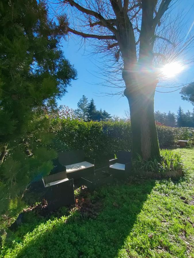 Il Tiglio B&B Dozza Bagian luar foto