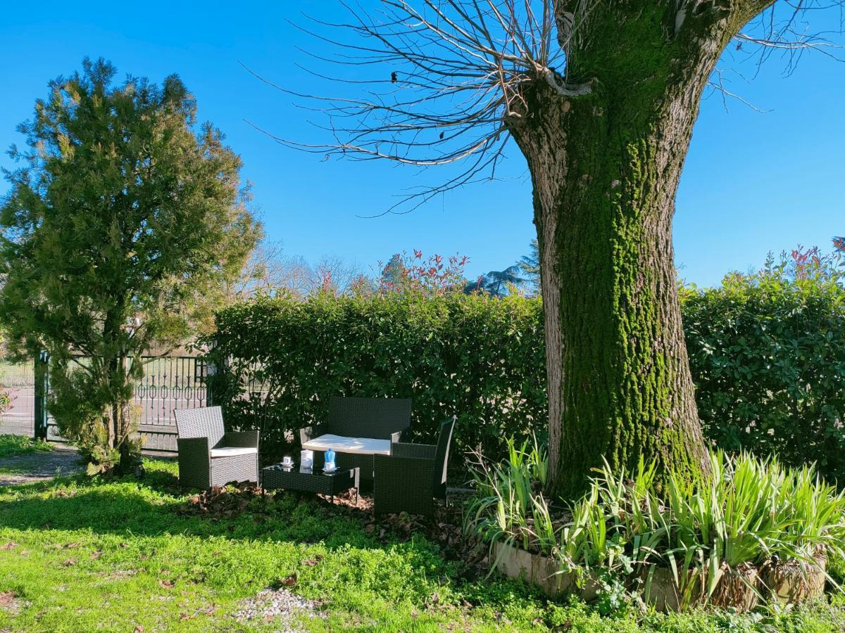 Il Tiglio B&B Dozza Bagian luar foto