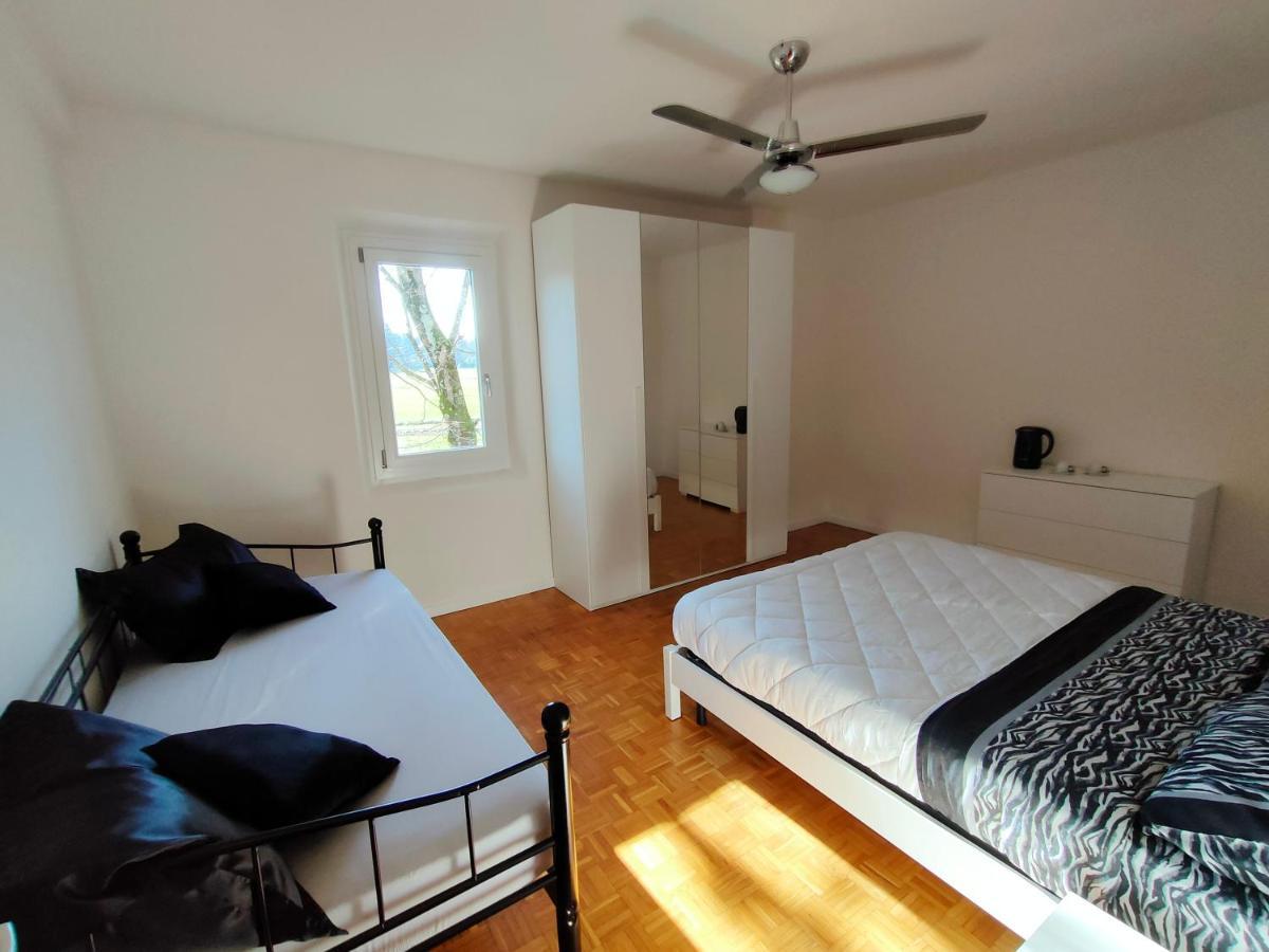 Il Tiglio B&B Dozza Bagian luar foto